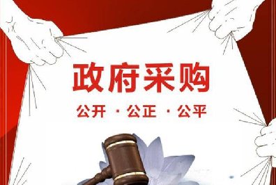 <b>政府采購招標代理</b>