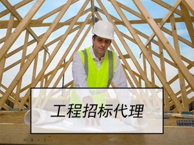 <b>工程招標代理</b>