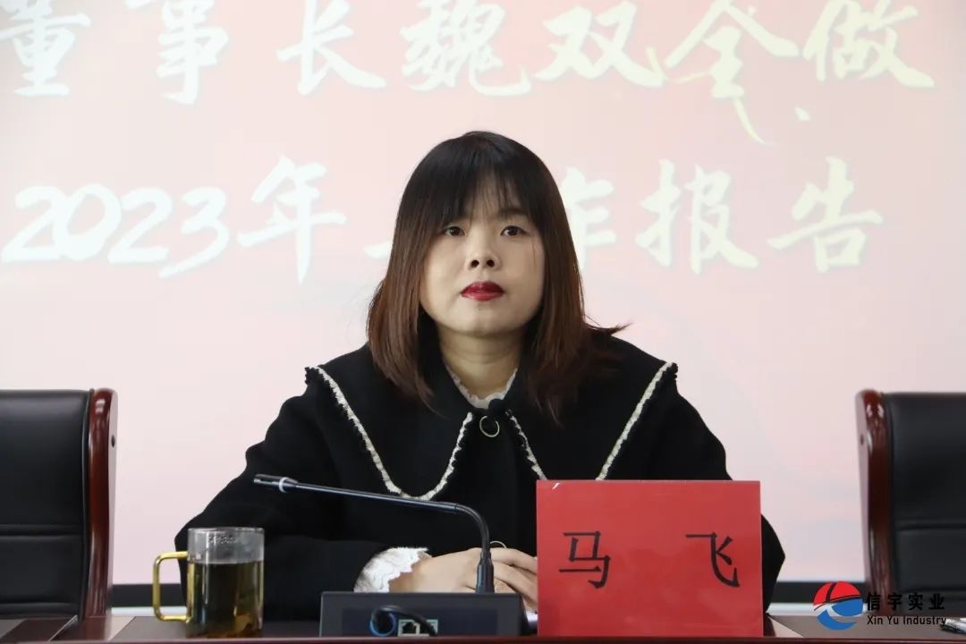 總經理馬飛作年度經營分析報告